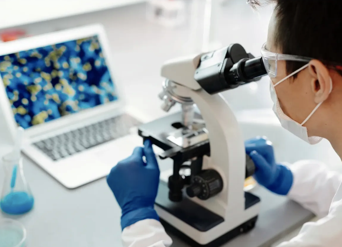 Scientist examining organisms under a microscope